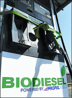 Bomba de biocombustible