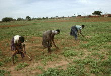 非洲坦桑尼亚的女农民