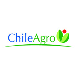 智利农业