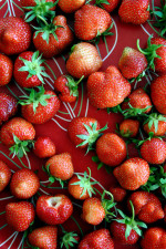 Serenade Optimum 可用于控制草莓的病害等。图片来源：Andy Field，创意共享