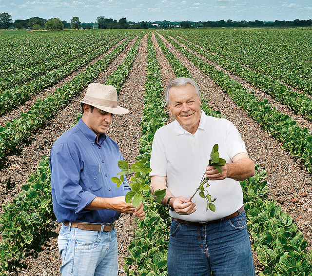 Estados Unidos, Brasil y Argentina representan aproximadamente el 80% de la producción mundial de soja. Crédito de la foto: Bayer CropScience AG 