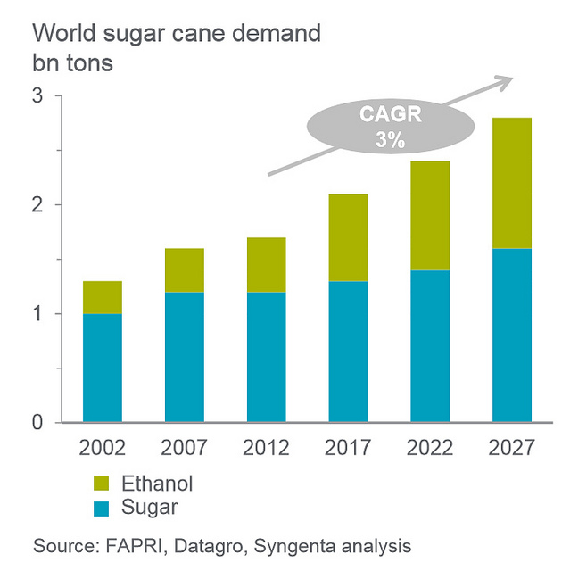 El etanol impulsa el crecimiento continuo de la demanda mundial de caña de azúcar. Crédito de la imagen: Syngenta