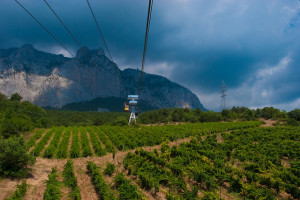 Vineyards near Ai-Petri mountain in Crimea. Photo credit; Flickr user Anton Zaderaka. Creative Commons license.