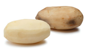 Innate potato J.R. Simplot
